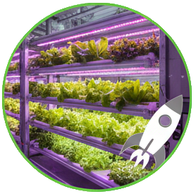 Rocket icon for agritech startups