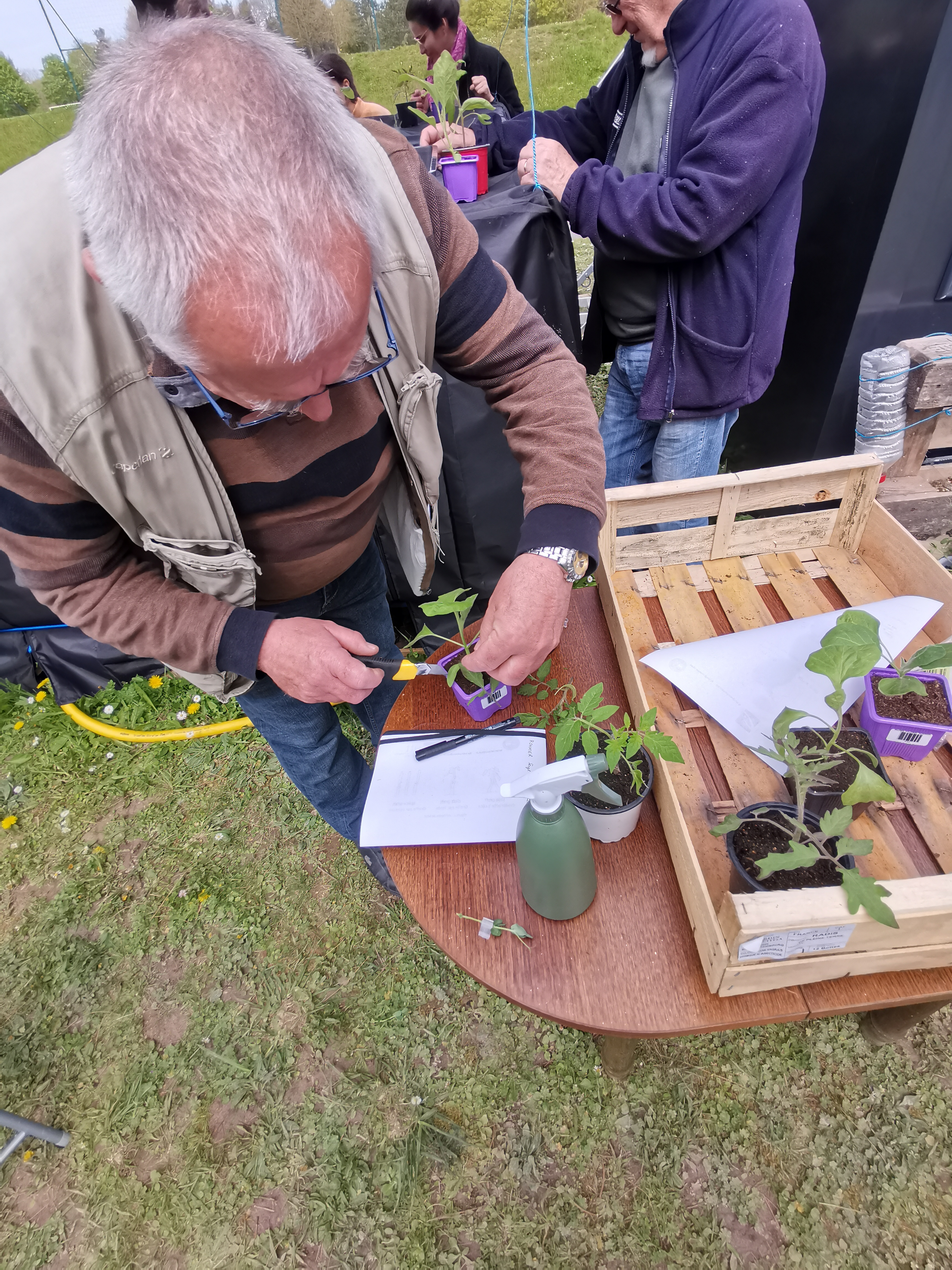 The second group of participants