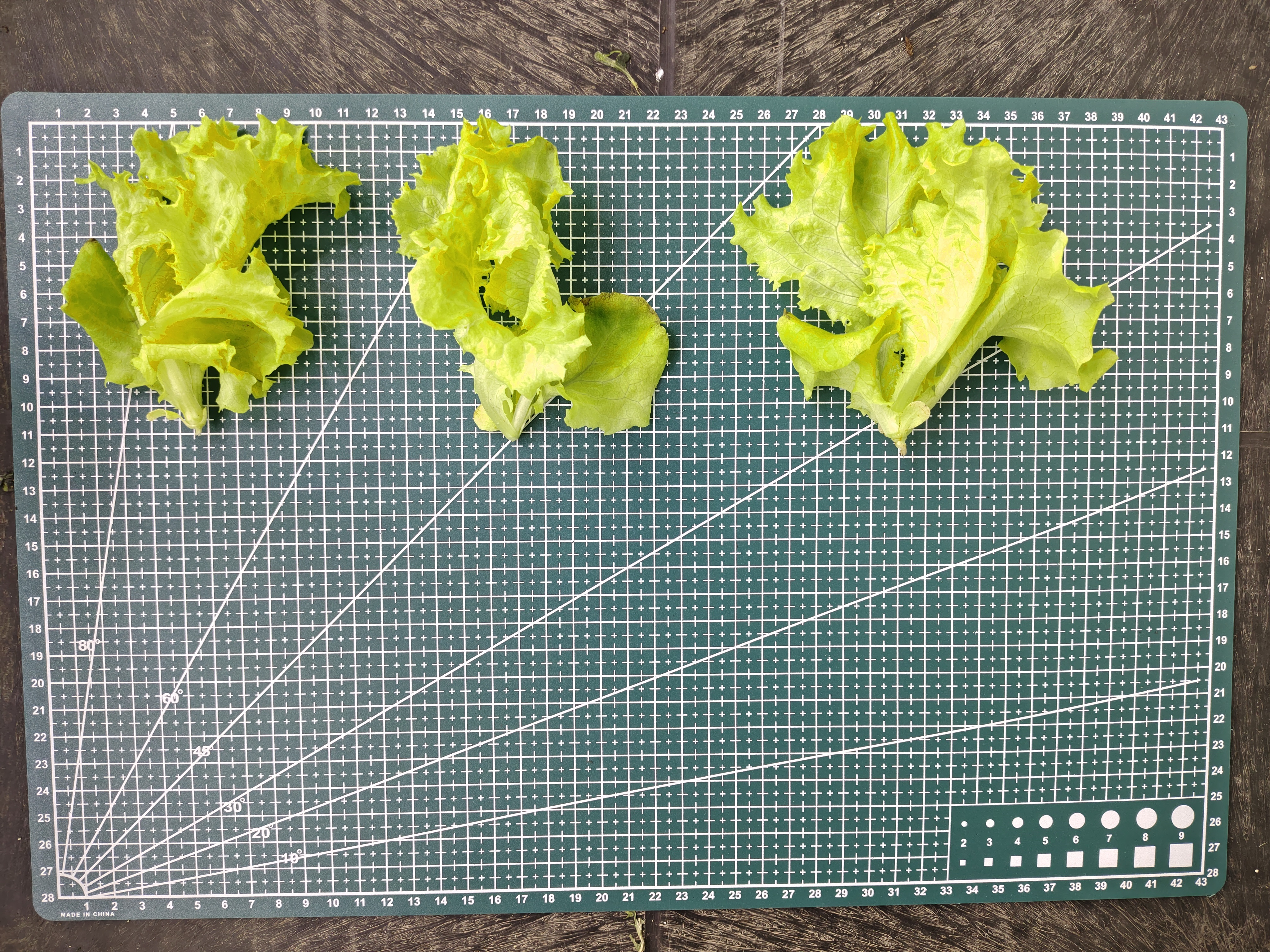 Crop standardization