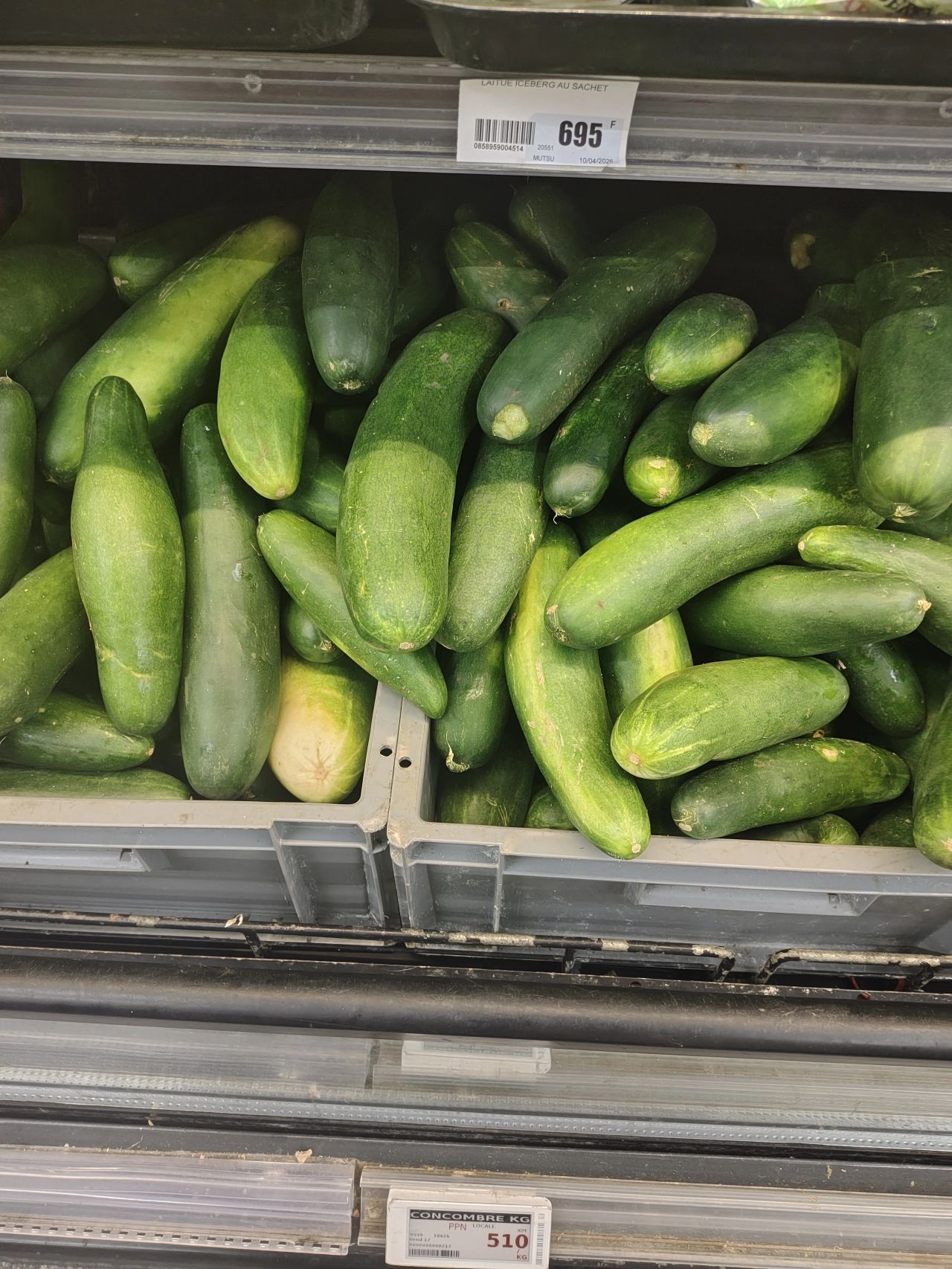Locally grown cucumbers produced on the organic farm on Moorea Island