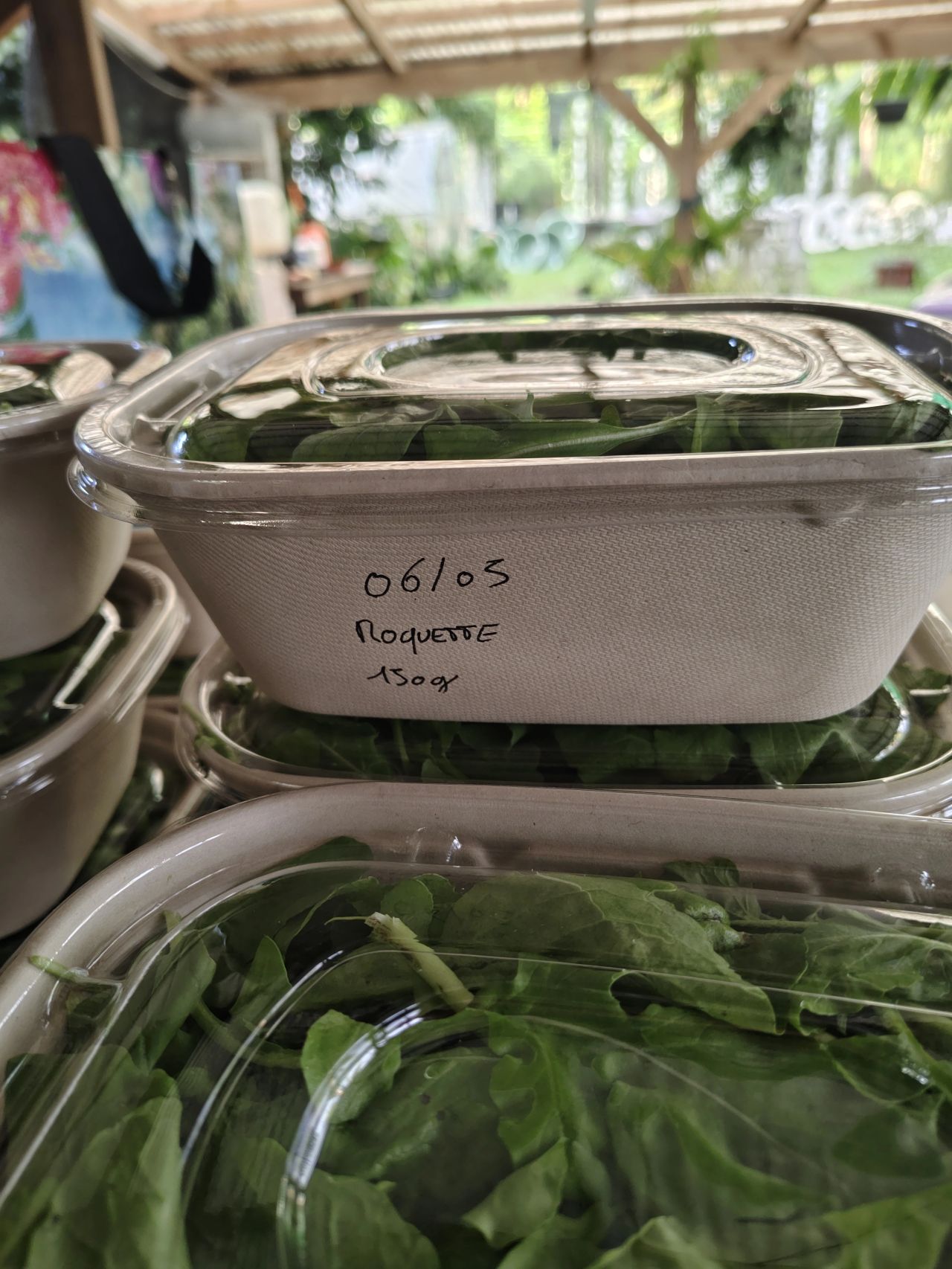 Fresh hydroponic produce being packaged for sale at the farm in Tahiti