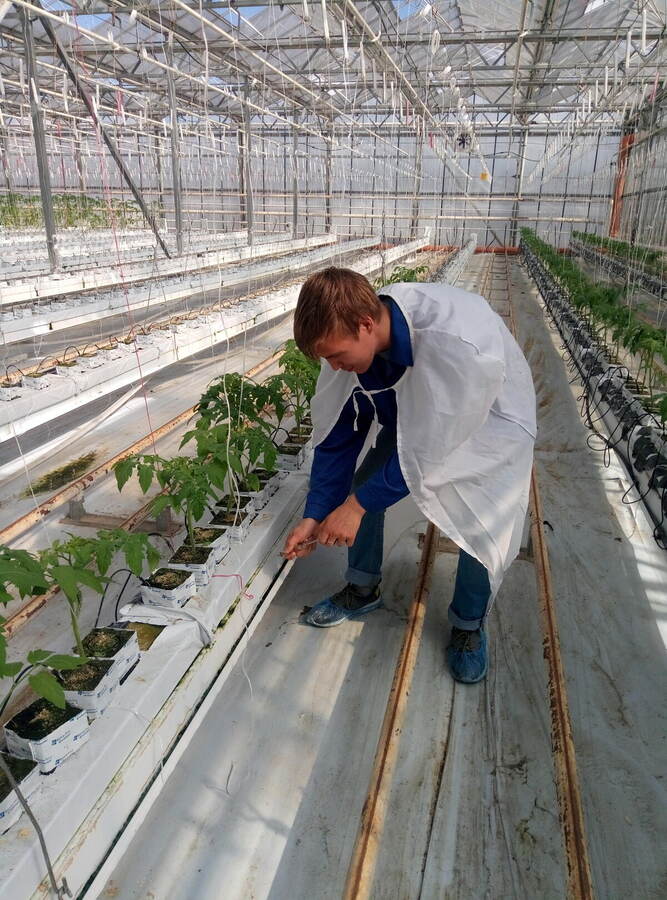 Sampling of nutrient solution