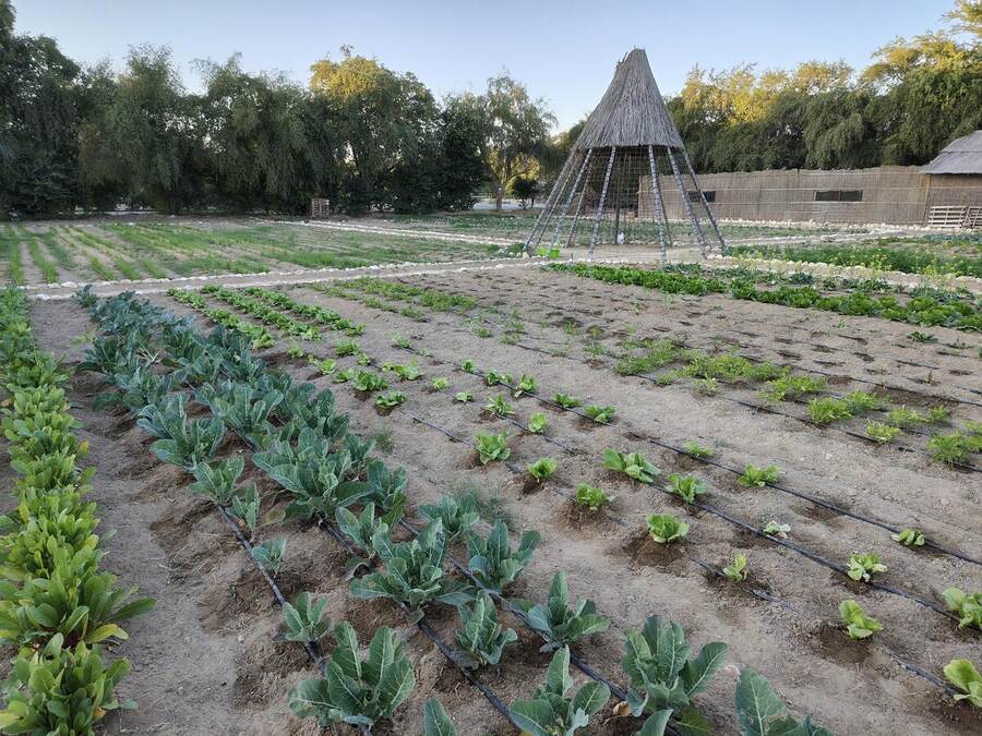 Protected and open growing area