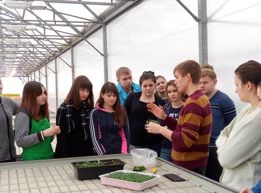 Vegetable physiology workshops