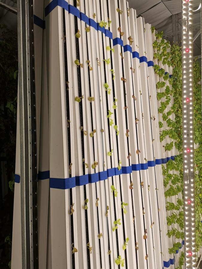 Citicrop vertical racks