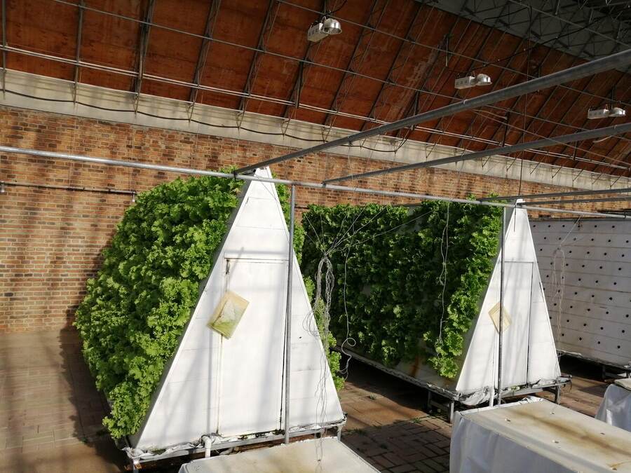 Research center hydroponic hall