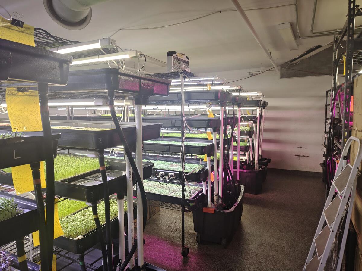 Hydroponic growing systems used for commercial microgreen production at a vertical farm in Boston.