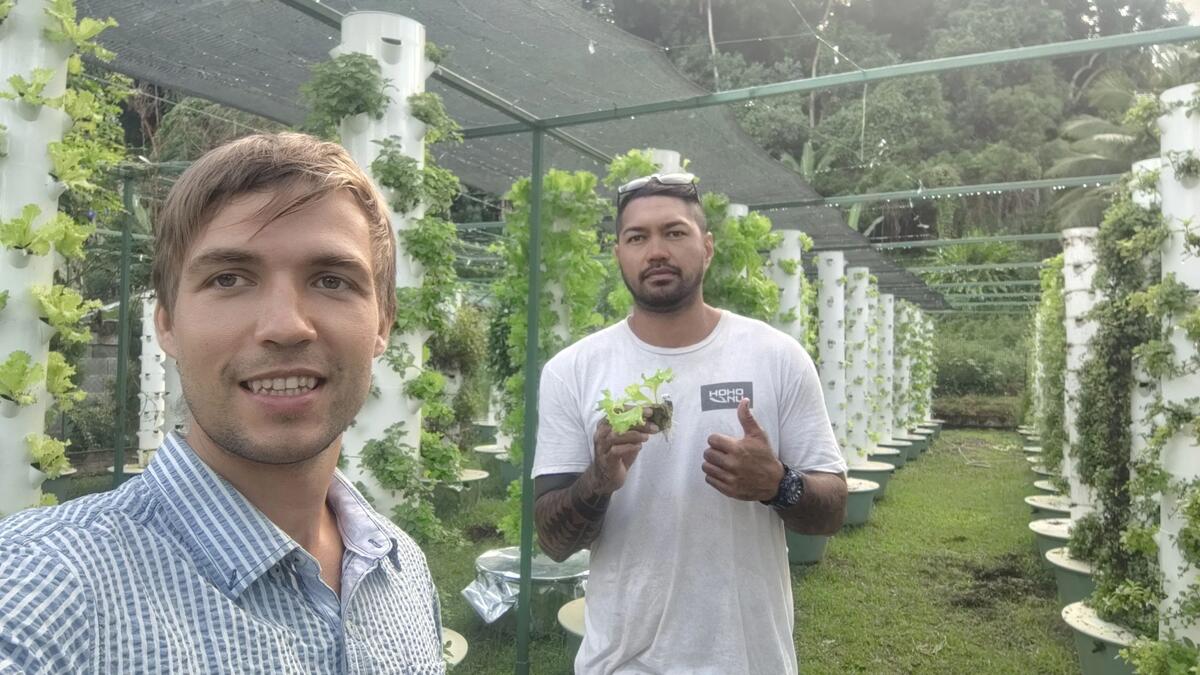 Tower Farm