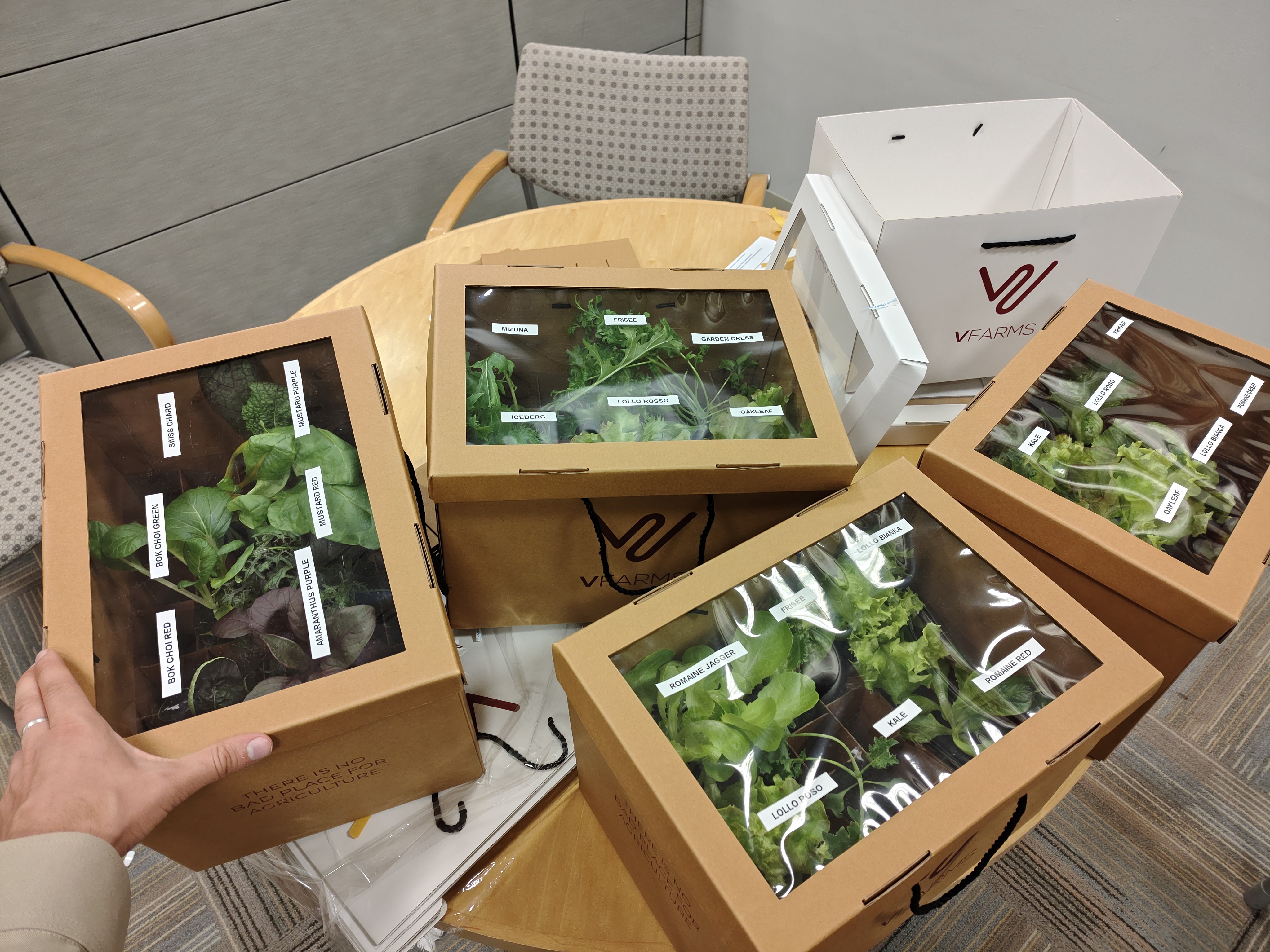 Cold-chain packaging line