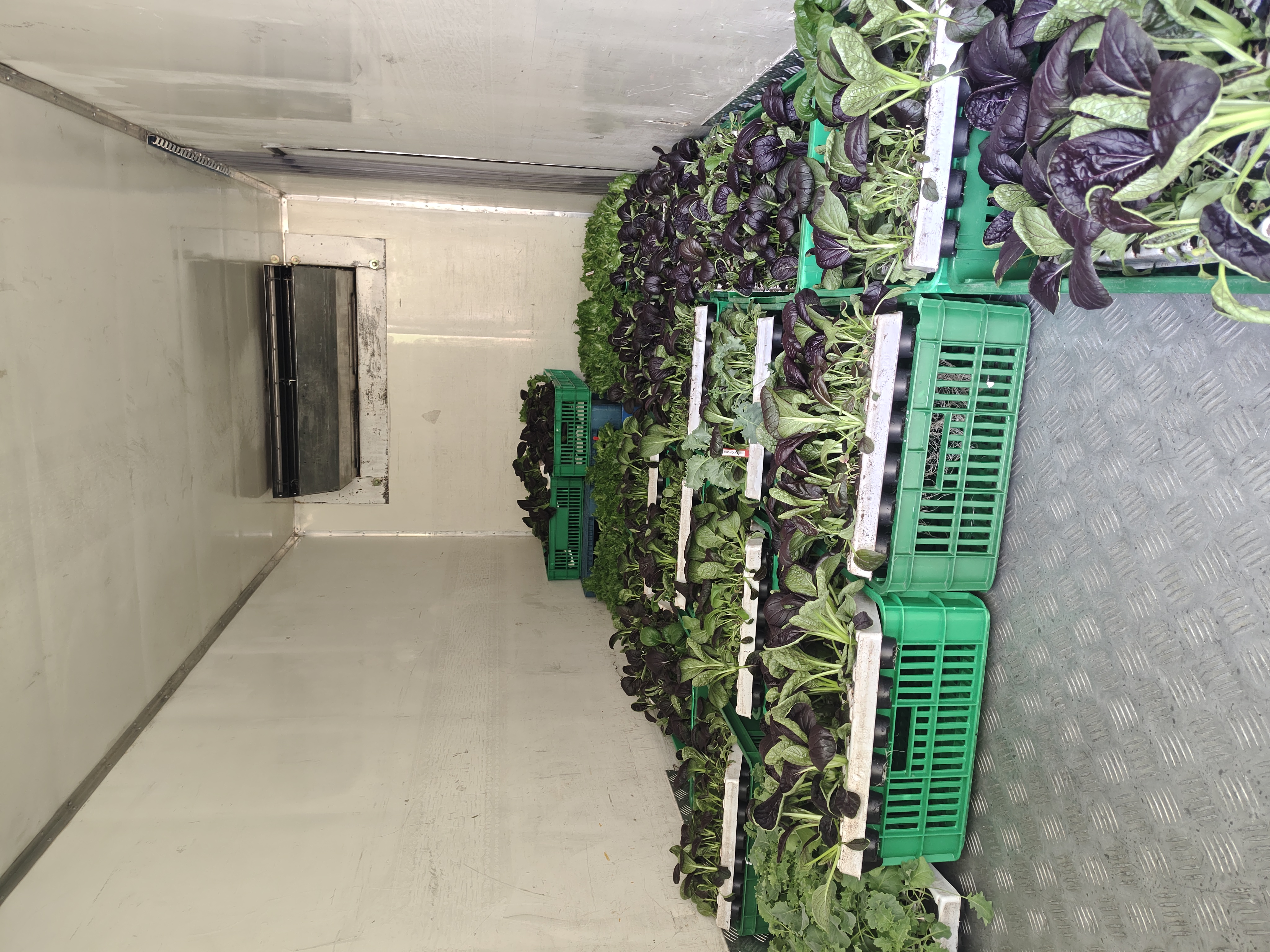 Cold-chain packaging line